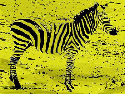 Zebra01 (Kontaktformular)