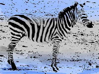 Zebra02 (Kontaktformular)