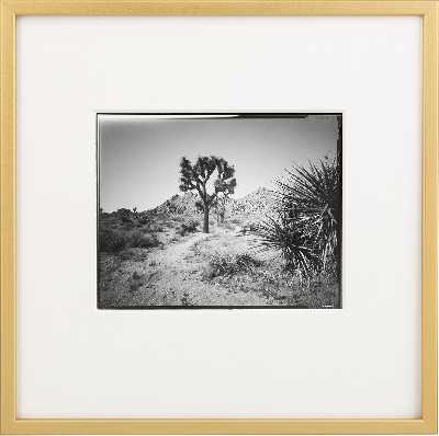 Westcoast Pinholes 01 (Kontaktformular)