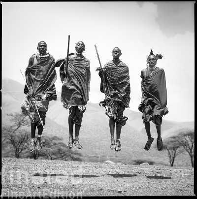 Tansania Ngorongoro 2011