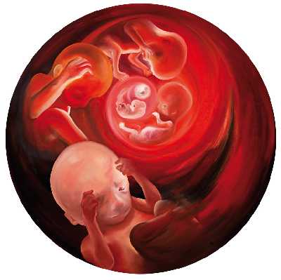Embryo (Kontaktformular)