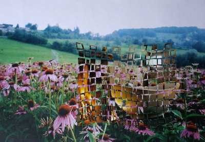 Juliane Bialek Flechtwerk