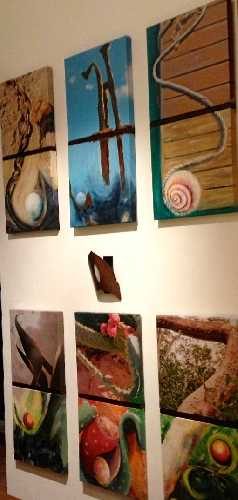 Projekt "GEBOrGEN" - Zwei dreier Serien AQUA&TERR